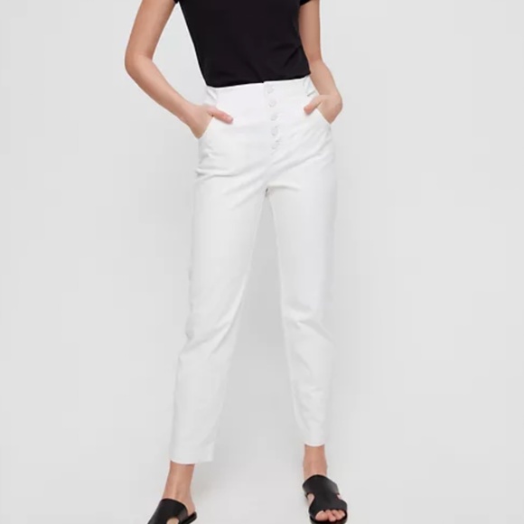 ARITZIA THE GROUP BY BABATON Zoey Pants - Picture 1 of 1
